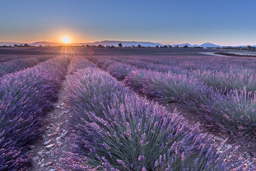 Landscape Photo Galleries by Olga Loschinina