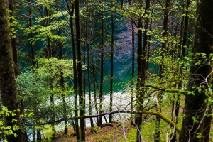 Austria Landscape - Landscape, Nature and Cityscape Photography - Olga Loschinina Photography