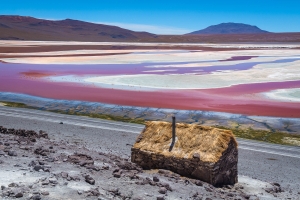 Bolivia Landscape - Landscape, Nature and Cityscape Photography - Olga Loschinina Photography