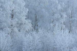 Finland Landscape - Landscape, Nature and Cityscape Photography - Olga Loschinina Photography