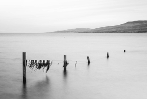 GBR-OL-NZ8_0020