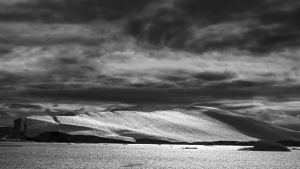 GRN-OL-NZ7_2642