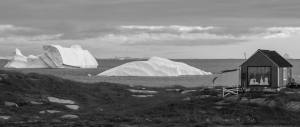 GRN-OL-NZ7_2874