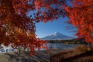 Japan Landscape - Landscape, Nature and Cityscape Photography - Olga Loschinina Photography
