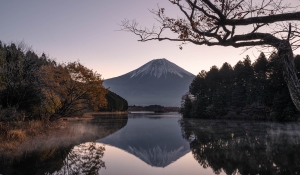 JPN-OL-NZ7_4341