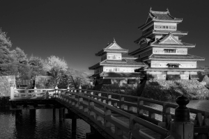 JPN-OL-NZ7_4598