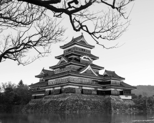 JPN-OL-NZ7_4666