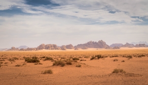 JRD-OL-N5D_8726-Pano