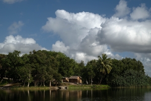 MDG-OL-NZ8_4676