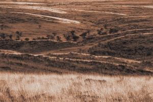 NAM-OL-NZ7_0073
