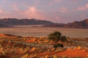 NAM-OL-NZ7_0092