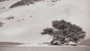 NAM-OL-NZ7_0282
