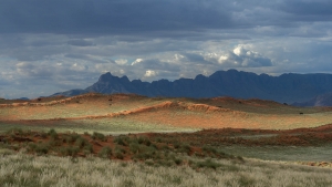 NAM-OL-NZ7_0850