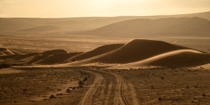 NAM-OL-NZ8_1387