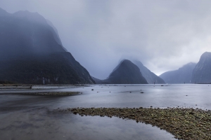 NZL-OL810_5273