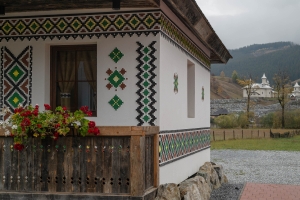 ROM-OL-NZ8_6723