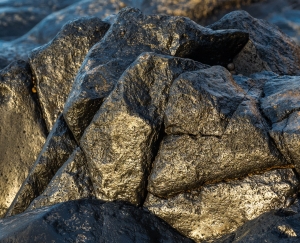 ESP-OL-NZ7_1108