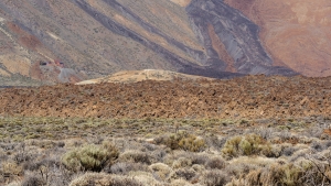 ESP-OL-NZ7_8686