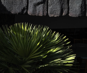 ESP-OL-NZ8_0248