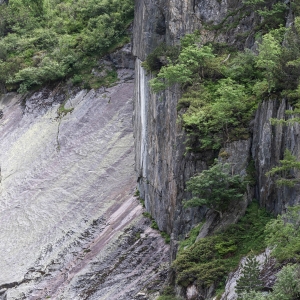 SWZ-OL-NZ7_3715