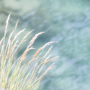 SWZ-OL-NZ7_6032
