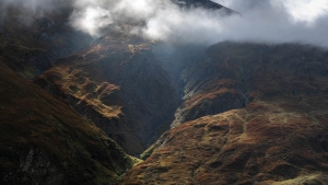SWZ-OL-NZ7_6186
