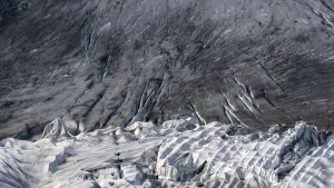 SWZ-OL-NZ7_6243