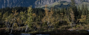 SWZ-OL-NZ7_6499
