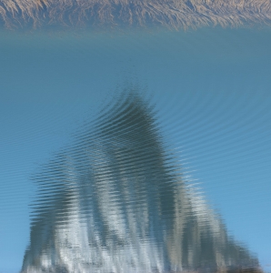 SWZ-OL-NZ7_7004