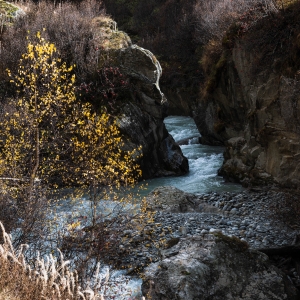 SWZ-OL-NZ7_7412