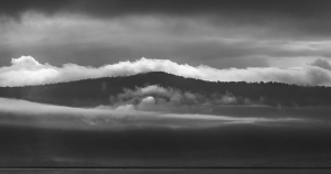 TNZ-OL-NZ7_7195