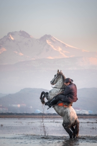 TUR-OL-N5D_6474