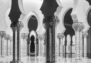 UAE-OL-NZ8_0125