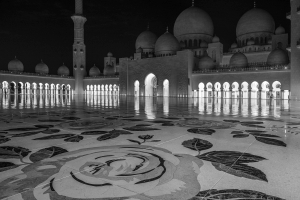 UAE-OL-NZ8_0127