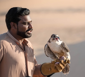 UAE-OL-NZ7_8310