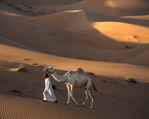 UAE-OL-NZ7_8531