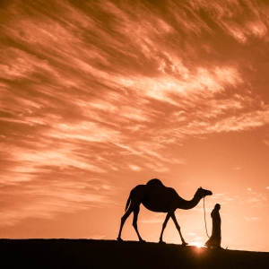 UAE-OL-NZ8_0491